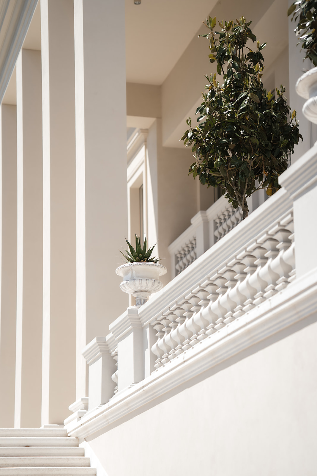 Stone urn with agave on the terrace balustrade